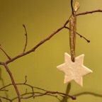 Star On Twig.jpeg